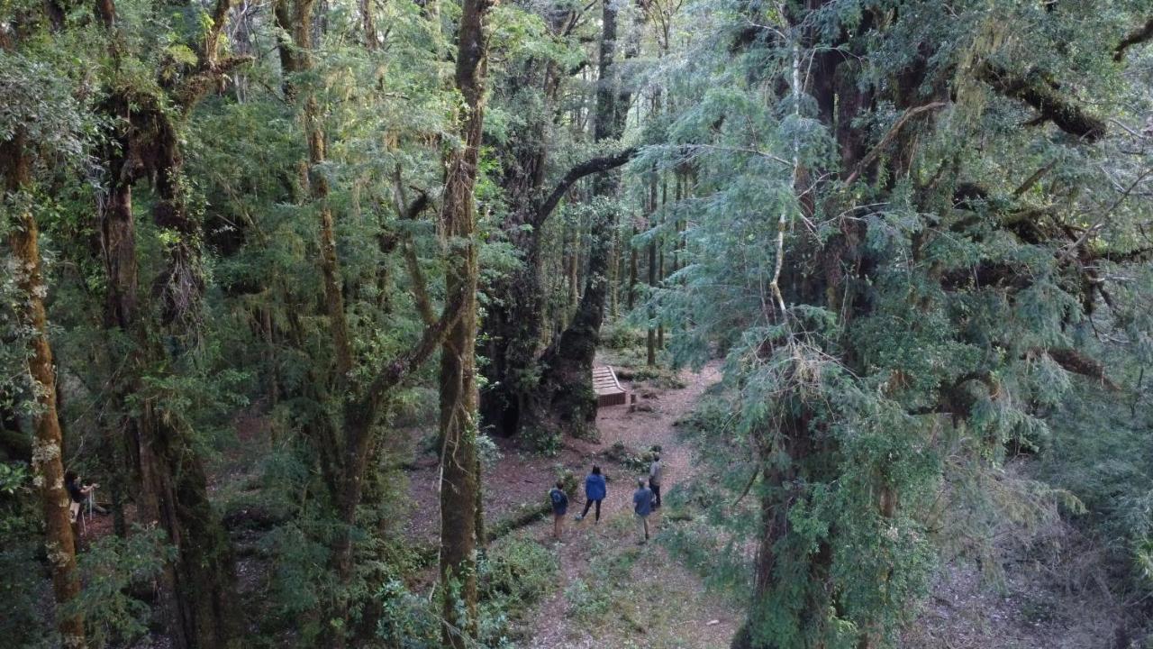 Lodge Parque Tepuhueico Castro Eksteriør bilde