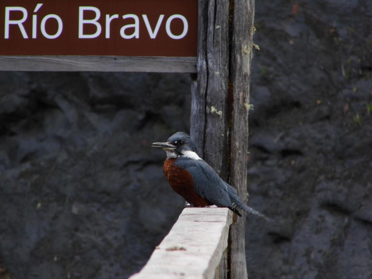 Lodge Parque Tepuhueico Castro Eksteriør bilde