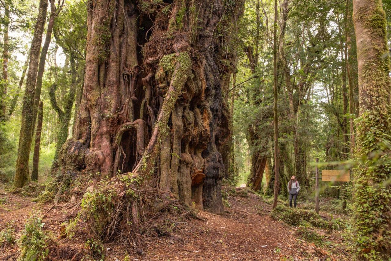Lodge Parque Tepuhueico Castro Eksteriør bilde
