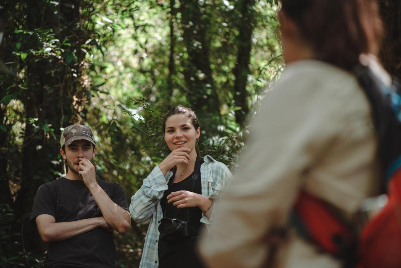 Lodge Parque Tepuhueico Castro Eksteriør bilde